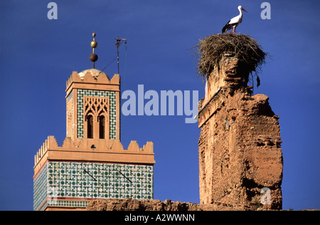 Stork e Moschea du Kasbah, Marrakech marocco Foto Stock