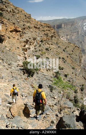 Oman il Grand Canyon è una spettacolare 1000 metro chasm scolpiti dalla volubile acque di Wadi Ghul Foto Stock