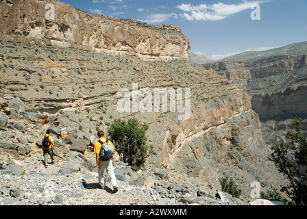 Oman il Grand Canyon è una spettacolare 1000 metro chasm scolpiti dalla volubile acque di Wadi Ghul Foto Stock