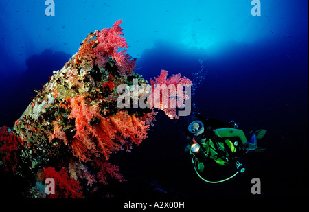 Scuba Diver esplorare naufragio Numibia Egitto Africa Mar Rosso Foto Stock