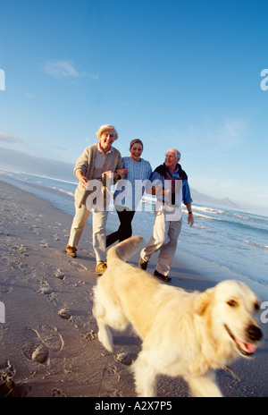 Famiglia anziani a piedi il loro Labrador cani sulla spiaggia. Foto Stock