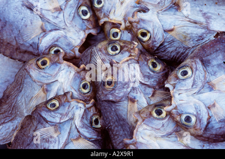 Indonesia. Closeup visualizzazione dei pesci in outdoor market alimentare. Foto Stock
