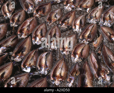 Dh PUERTO DEL CARMEN LANZAROTE pesce essiccazione su gabbie in città vecchia porto Foto Stock