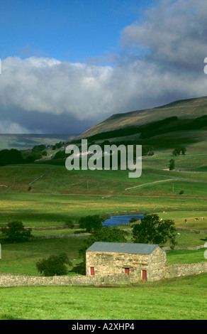 Il vecchio fienile vicino Hawes, Wensleydale, Yorkshire Dales National Park, North Yorkshire, Inghilterra, Regno Unito. Foto Stock