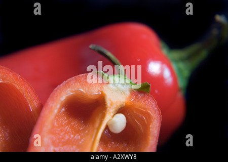 Mini dolce peperone rosso macro closeup Foto Stock