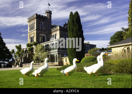 Il Castello Larnach Penisola di Otago Dunedin Isola del Sud della Nuova Zelanda Foto Stock