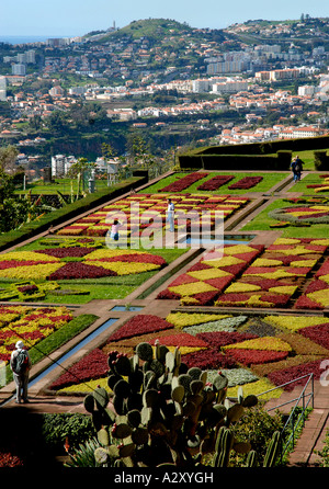 Giardini botanici di Funchal Isole Madeira Portogallo Foto Stock