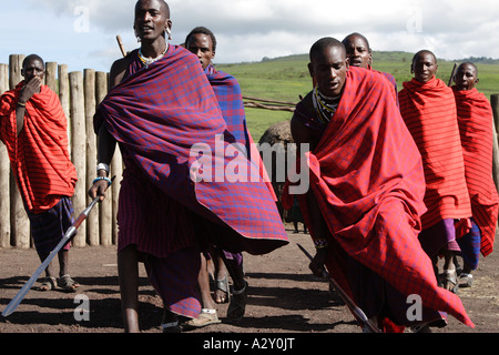 La danza di benvenuto da Masai guerrieri in un insediamento sul bordo del cratere di Ngorongoro in Tanzania. Foto Stock