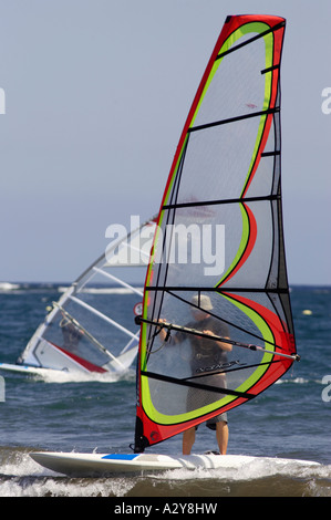 Due maschio windsurfisti off El Medano beach Tenerife Canarie Spagna Foto Stock