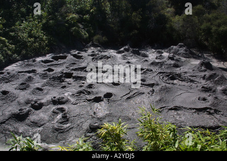 Fango bollente in area geotermica, a Rotorua, Nuova Zelanda Isola del nord Foto Stock