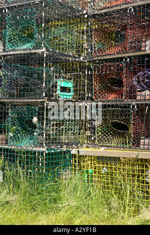 Maine Lobster Pot trappole closeup Foto Stock