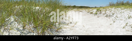 Vista dettagliata panoramica della spiaggia di graminacee e percorso Foto Stock