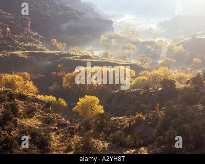 Autunno nebbia di mattina su Escalante River Valley Foto Stock