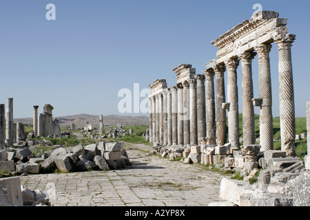 Le rovine di Apamea, Siria, Medio Oriente Foto Stock