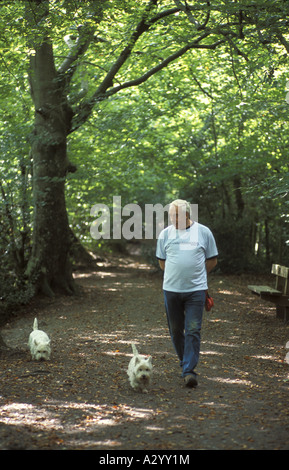 Uomo che cammina i suoi cani in Decoy Country Park siti di particolare interesse scientifico Newton Abbot Devon Foto Stock