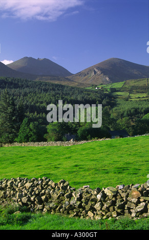 Campi verdi sotto la Mourne Mountains. La contea di Down, Irlanda del Nord, Regno Unito Foto Stock