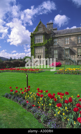 Fiori d'estate nel giardino di Muckross House. Parco Nazionale di Killarney, nella contea di Kerry, Irlanda. Foto Stock