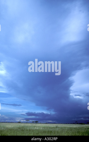 Grigio tempesta nuvole sopra la pianura erbosa Serengeti National Park Tanzania Africa orientale Foto Stock