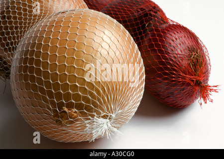 Spagnolo e le cipolle rosse in borse di maglia contro il bianco di sfondo per studio Foto Stock