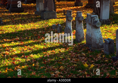 Forti ombre da quattro a forma di croce le lapidi in un cimitero di Farnham Estrie Quebec Foto Stock