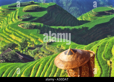 Cappello di bambù e il cestello con risaie a terrazze in montagna Longsheng provincia di Guangxi Cina Foto Stock