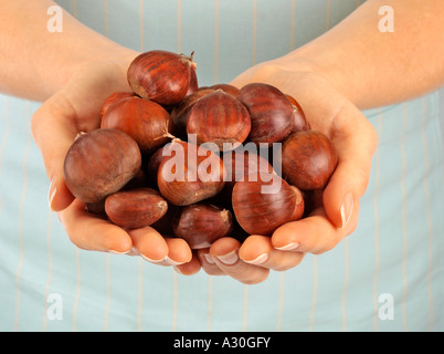 Donna che mantiene le castagne Foto Stock