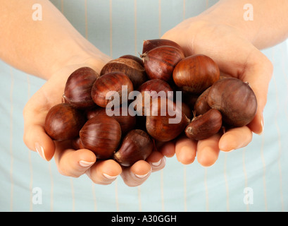 Donna che mantiene le castagne Foto Stock