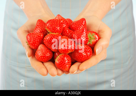 Pugno di fragole fresche Foto Stock