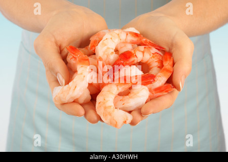 Manciata GAMBERONI / gamberetto boreale cibo a base di pesce Foto Stock