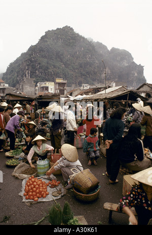 Il Vietnam 1994 Vietnam del nord la piccola cittadina di pescatori di han gai halong donne vendere verdure a stallo del mercato 1994 Foto Stock