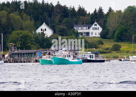 Aragosta ormeggiate barche in testa i gufi Harbour Foto Stock