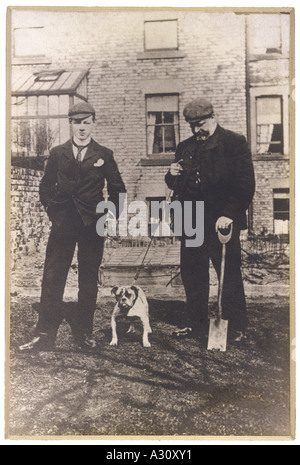 Bulldog Foto Proprietari Foto Stock