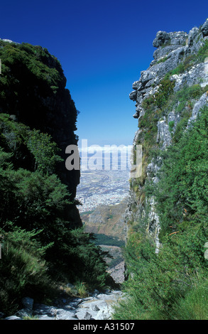 Platteklip Gorge su Table Mountain in Sud Africa Foto Stock