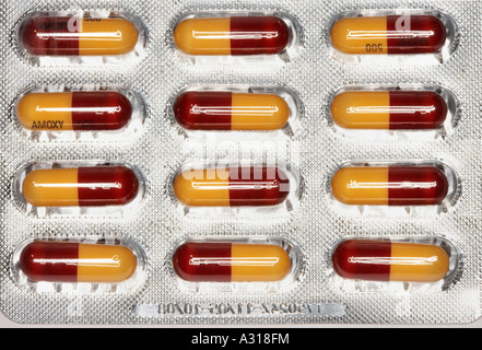 Amoxicillina antibiotici (in 500 mg capsule), in una confezione in blister Foto Stock