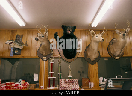 La Mississippi delta bracconaggio general store con animali impagliati capi sulla parete Foto Stock