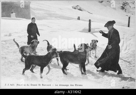 Formazione Bernards St Foto Stock