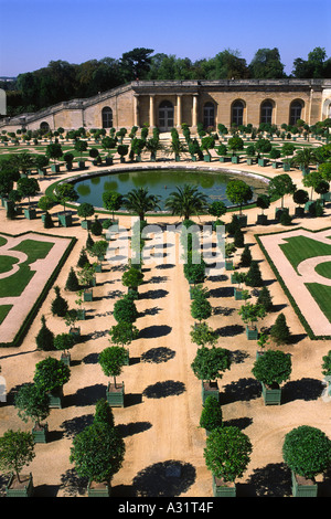 L'Orangery e giardini presso il Castello di Versailles in Francia Foto Stock