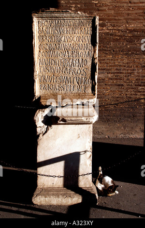 Marmo scolpito lapide con iscrizione in latino vicino all'Entrata al Colosseo Roma Italia Foto Stock