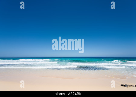 Spiaggia nel Parque Natural de Corralejo, Fuerteventura, Isole Canarie, Spagna Foto Stock
