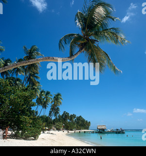 Pigeon Point, Tobago,Trinidad e Tobago, dei Caraibi - adottata nel 1998, prima che la spiaggia è stato rovinato da un eccessivo sviluppo Foto Stock