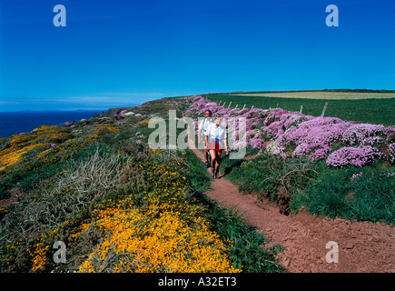 Giovane camminando lungo la lunga distanza percorso costiero con subacquei gorse fiori rosa mare Pembrokeshire Coast Galles Foto Stock