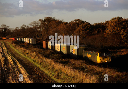 Treno merci sulla linea singola pista a Levington in Suffolk sul tragitto per il porto di Felixstowe, Regno Unito. Foto Stock