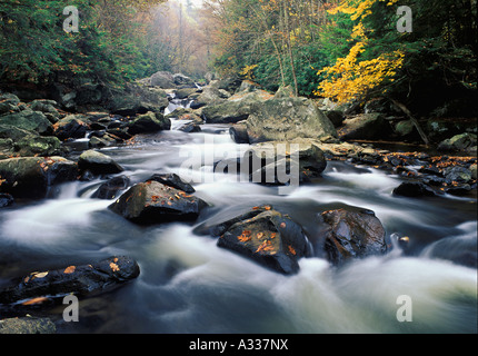 Autunno su Glade Creek Babcock membro Park West Virginia Foto Stock