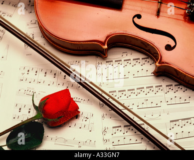La musica del violino di rose Foto Stock