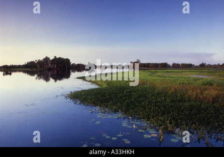 Acqua gialla Billabong nel Parco Nazionale Kakadu e Territorio del Nord Australia Foto Stock