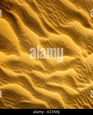 NEL DESERTO IN QATAR Foto Stock