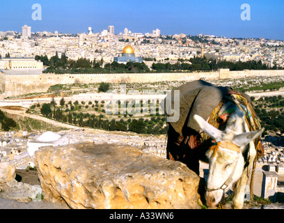 Vista dal Monte degli Ulivi verso Gerusalemme Israele Foto Stock