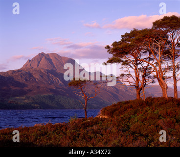 Loch Maree e Slioch, vicino Kinlochewe, Ross and Cromarty, Highland, Scotland, Regno Unito Foto Stock