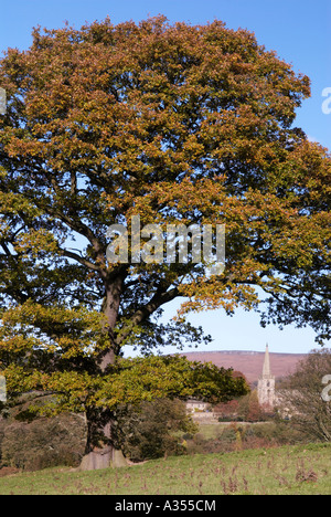 Hathersage chiesa in autunno nel Derbyshire "Gran Bretagna" Foto Stock