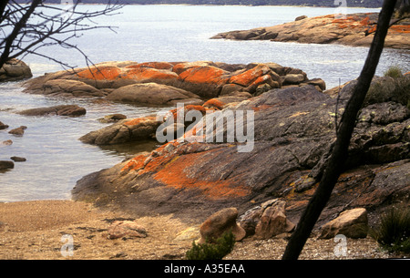 Spiaggia Bisheno 2 Tasmania Foto Stock